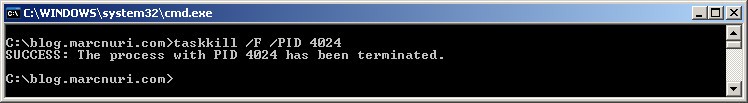 Captura de pantalla mostrando la salida del comando taskkill /F /PID 4027